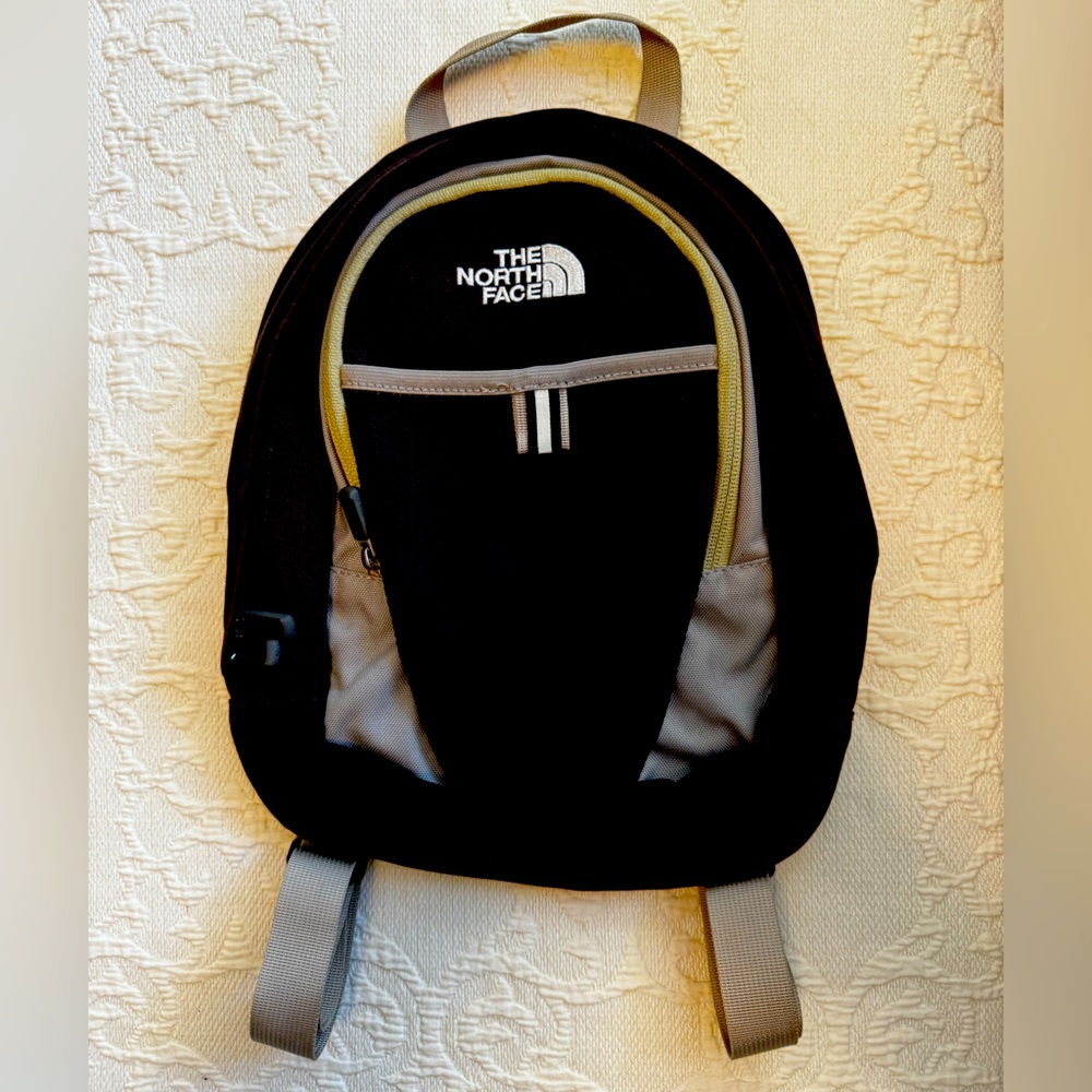 North Face Mini Backpack